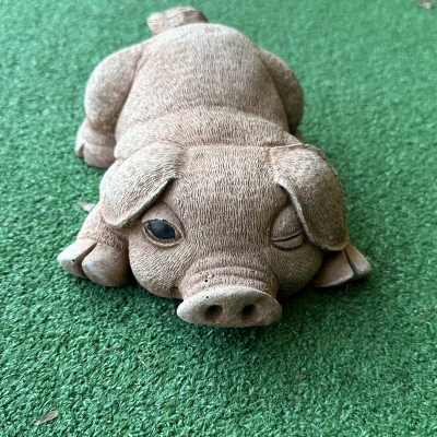 Winking Pig 