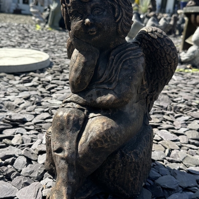 Wondering Angel 