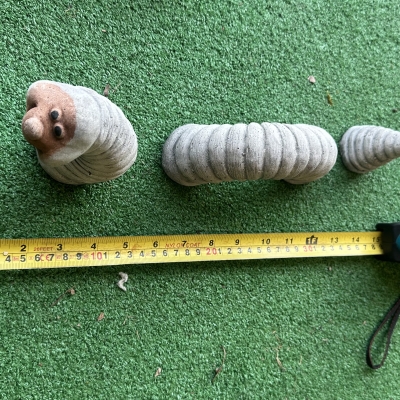 Worm 
