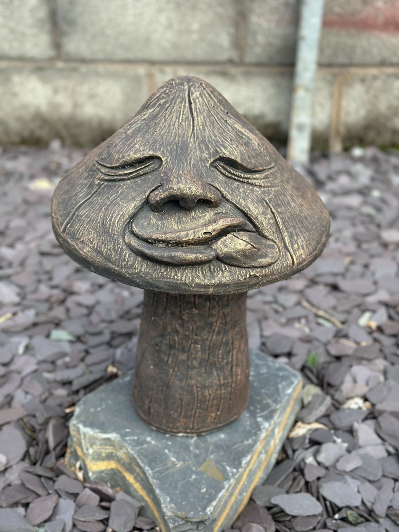 tongue Out Mushroom