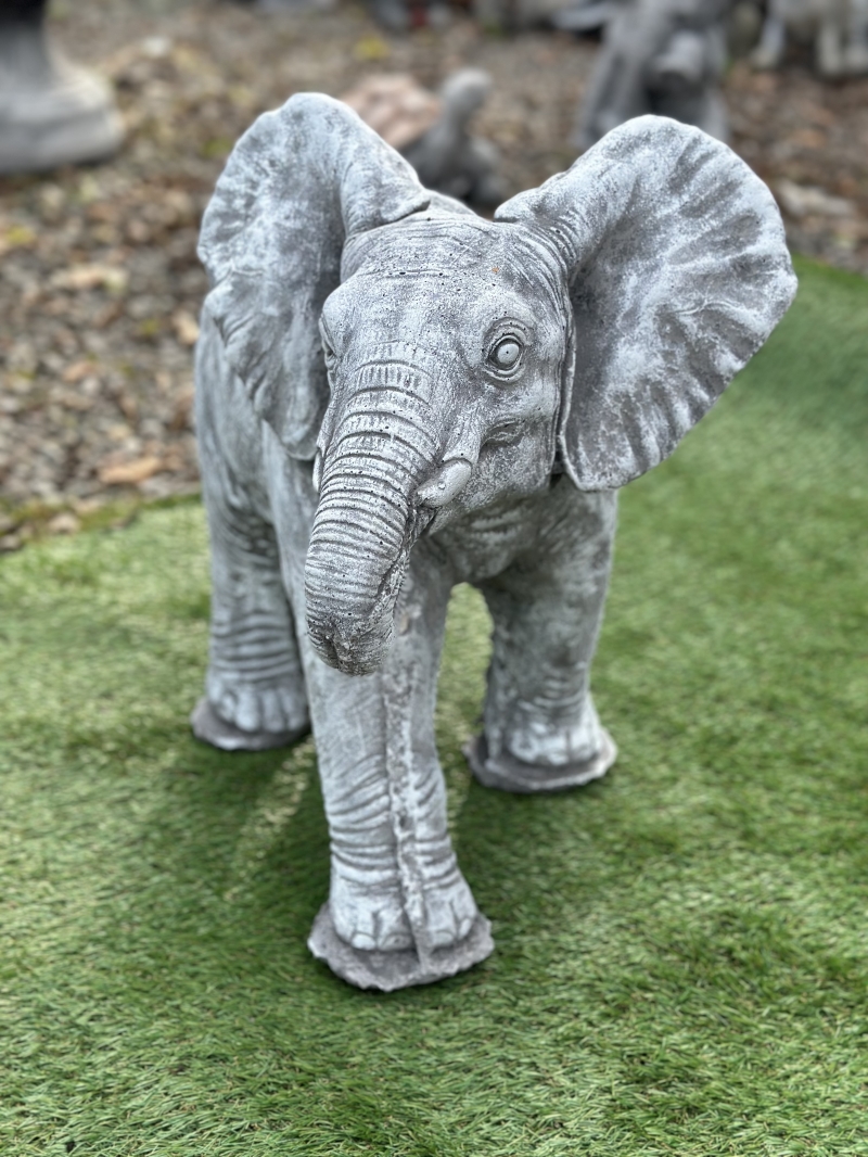 Walking Elephant