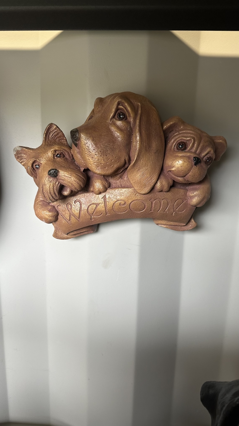 Welcome Dog Family