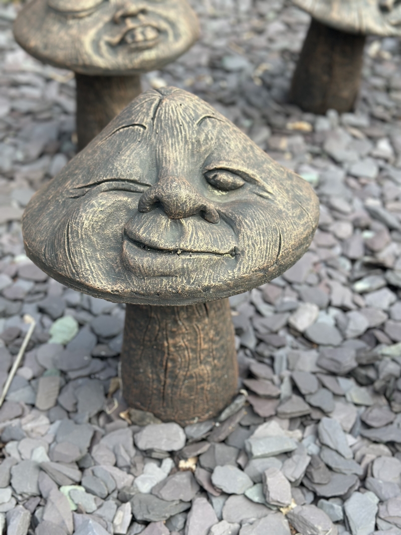 Winking Mushroom
